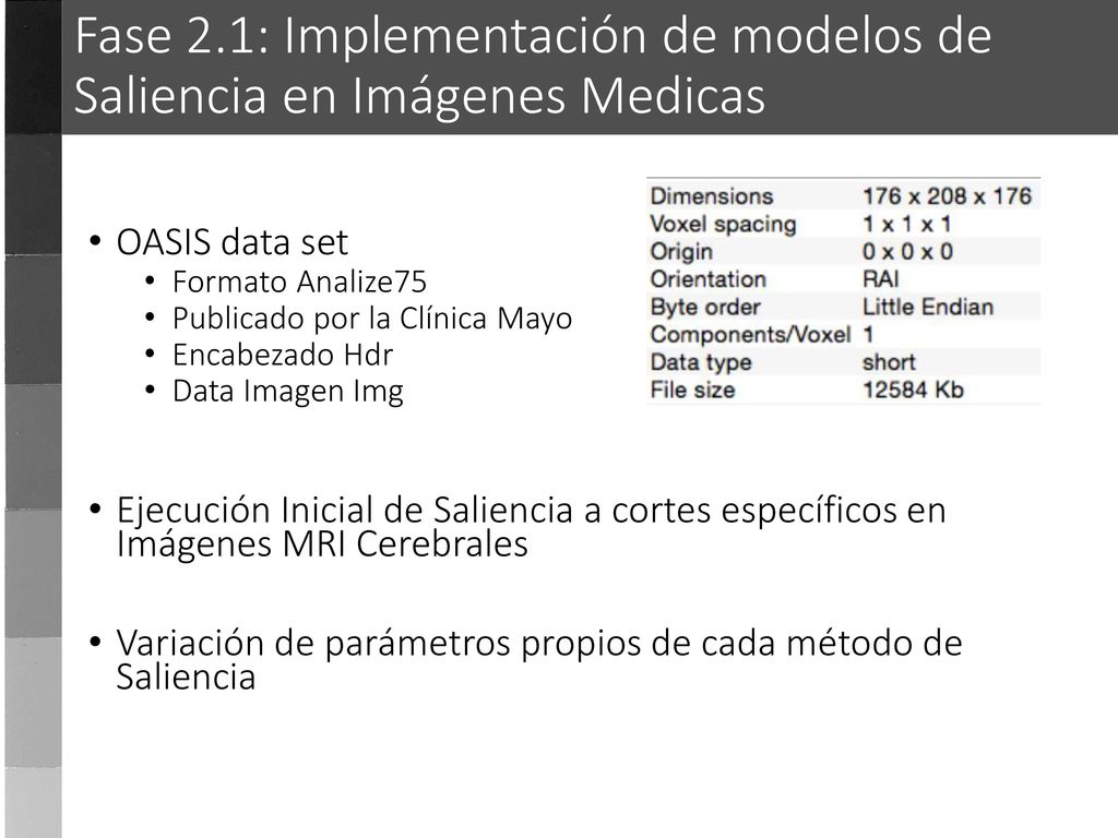 Fase 2.1: Implementación de modelos de Saliencia en Imágenes Medicas