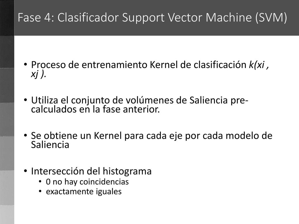 Fase 4: Clasificador Support Vector Machine (SVM)
