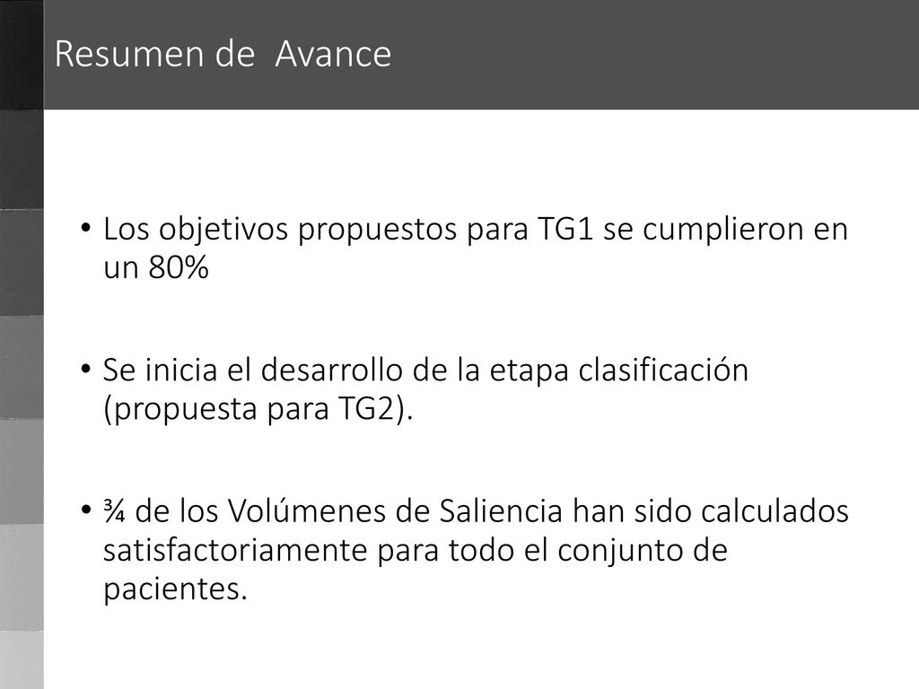 Resumen de Avance Los objetivos propuestos para TG1 se cumplieron en un 80%