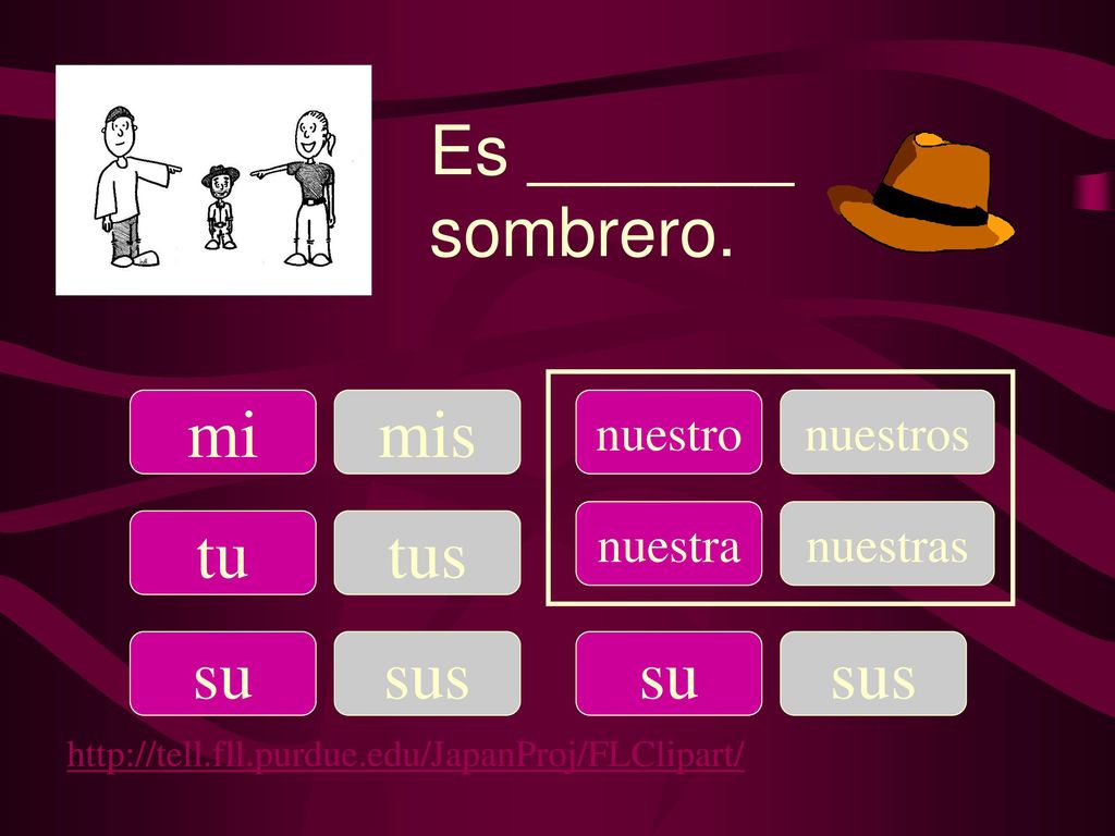 Es _______ sombrero. mi mis tu tus su sus su sus nuestro nuestros