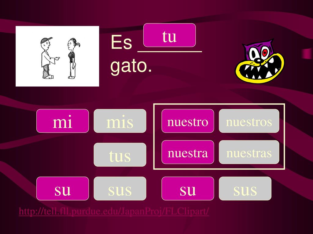 tu Es ______ gato. mi mis tus su sus su sus nuestro nuestros nuestra