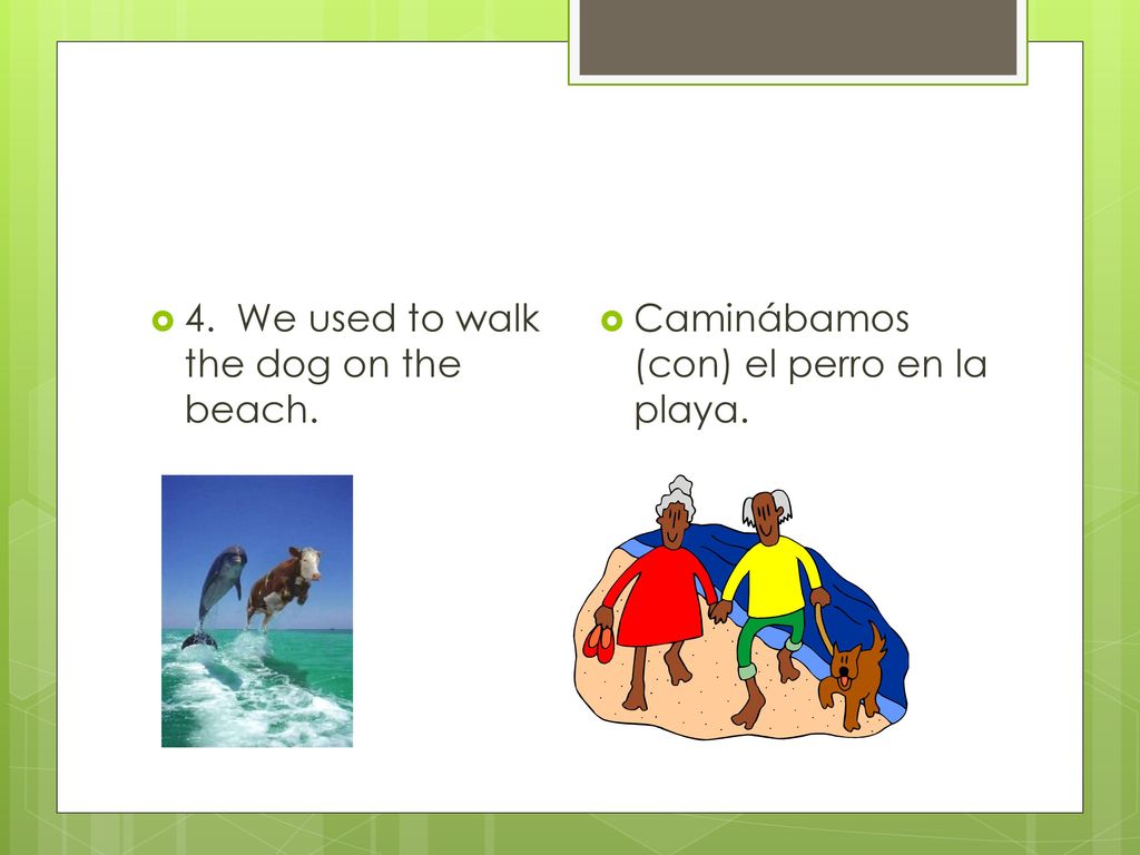 4. We used to walk the dog on the beach.