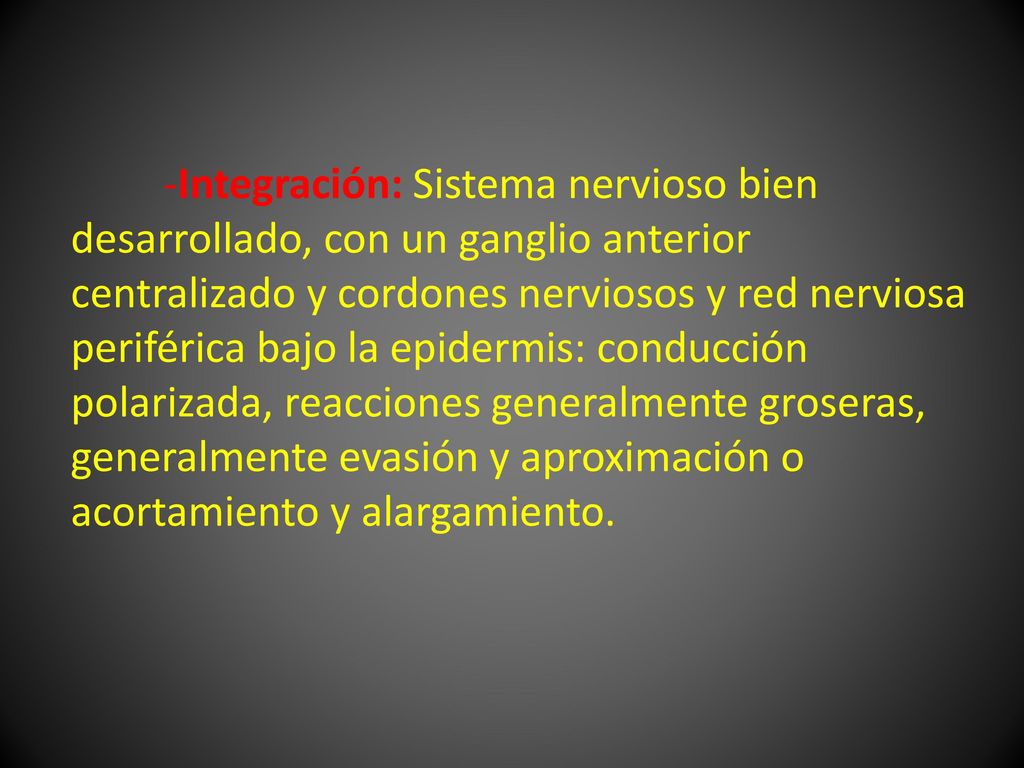 -Integración: Sistema nervioso bien desarrollado, con un ganglio anterior centralizado y cordones nerviosos y red nerviosa periférica bajo la epidermis: conducción polarizada, reacciones generalmente groseras, generalmente evasión y aproximación o acortamiento y alargamiento.