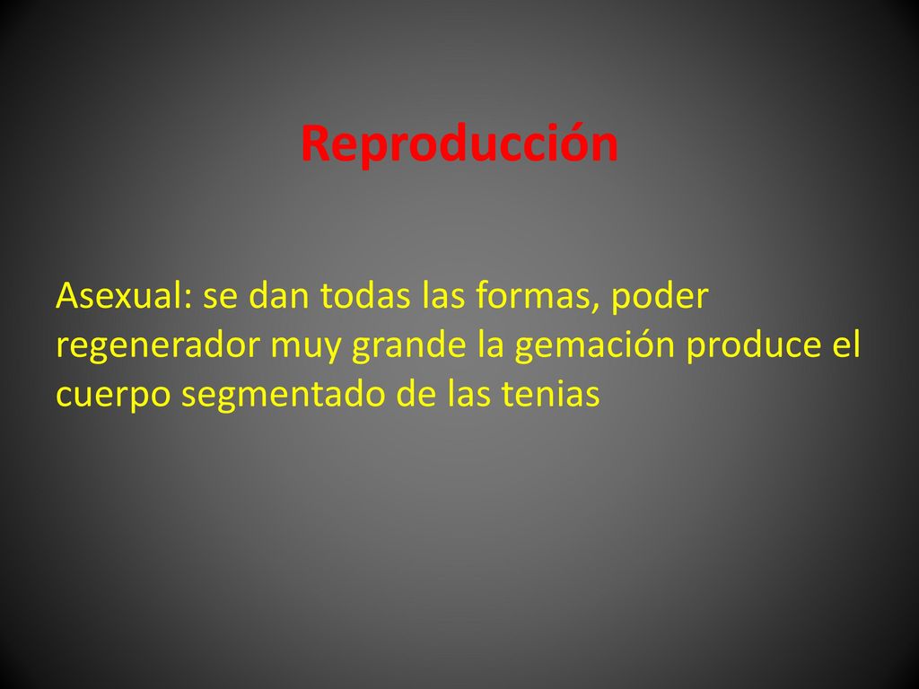 Reproducción Asexual: se dan todas las formas, poder regenerador muy grande la gemación produce el cuerpo segmentado de las tenias.