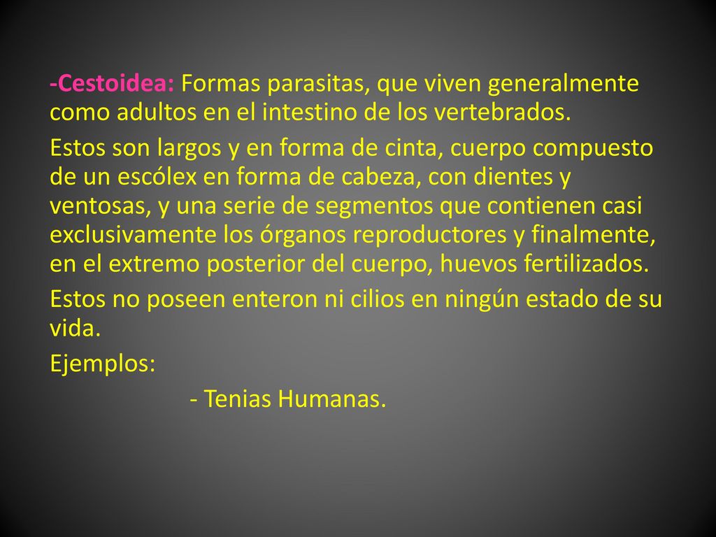 -Cestoidea: Formas parasitas, que viven generalmente como adultos en el intestino de los vertebrados.