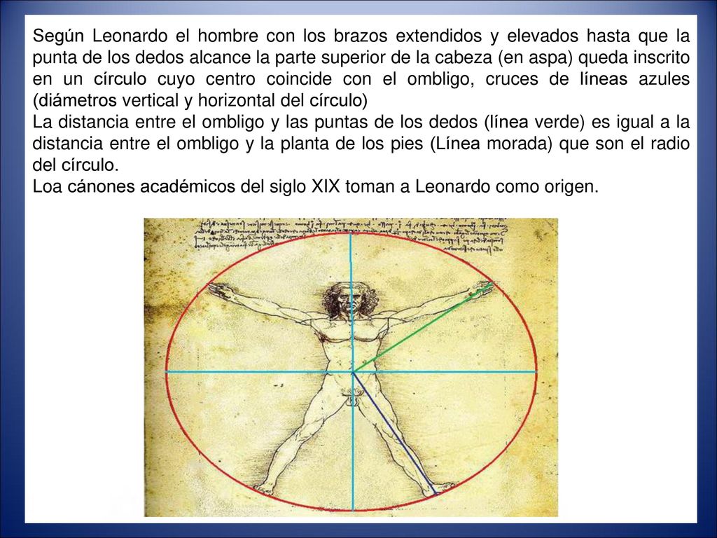 Según Leonardo el hombre con los brazos extendidos y elevados hasta que la punta de los dedos alcance la parte superior de la cabeza (en aspa) queda inscrito en un círculo cuyo centro coincide con el ombligo, cruces de líneas azules (diámetros vertical y horizontal del círculo)