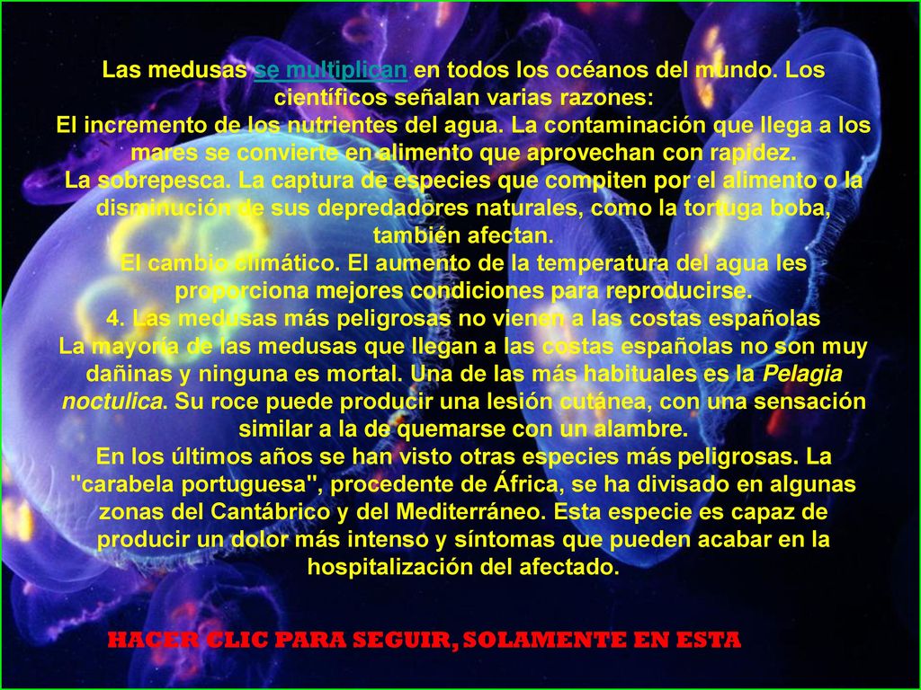 4. Las medusas más peligrosas no vienen a las costas españolas