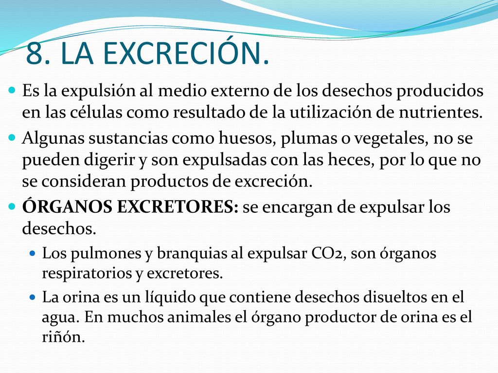 8. LA EXCRECIÓN. Es la expulsión al medio externo de los desechos producidos en las células como resultado de la utilización de nutrientes.