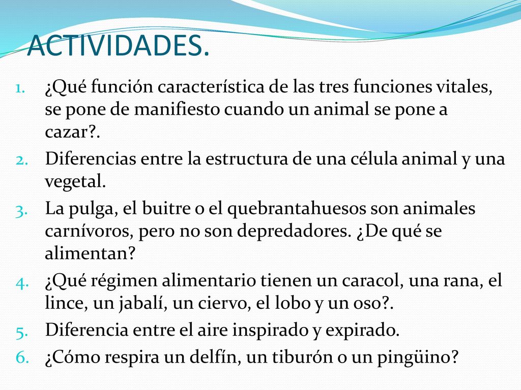 ACTIVIDADES. ¿Qué función característica de las tres funciones vitales, se pone de manifiesto cuando un animal se pone a cazar .