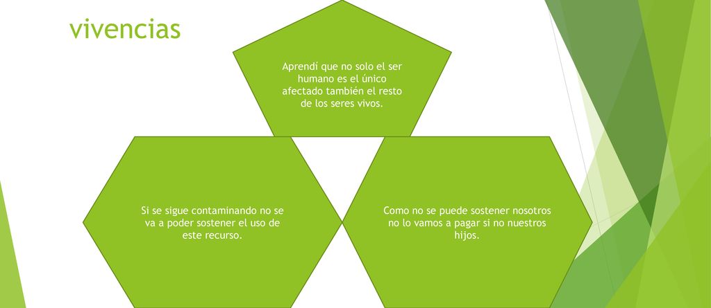 Aprendí que no solo el ser humano es el único afectado también el resto de los seres vivos.