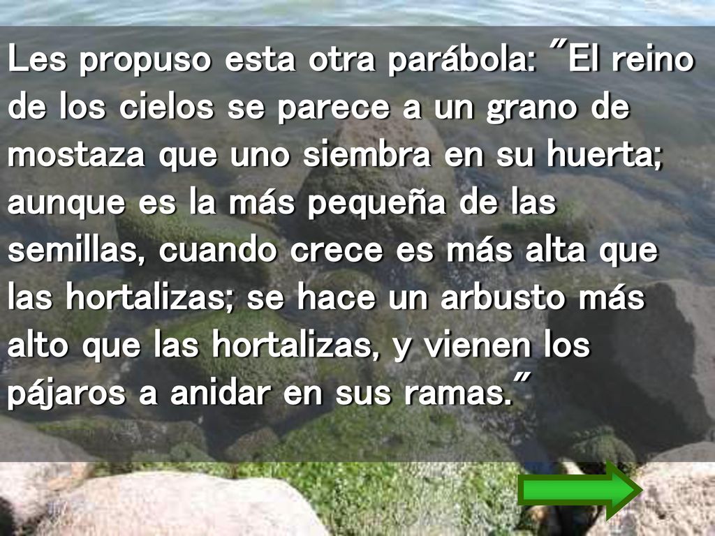 Les propuso esta otra parábola: El reino de los cielos se parece a un grano de mostaza que uno siembra en su huerta; aunque es la más pequeña de las semillas, cuando crece es más alta que las hortalizas; se hace un arbusto más alto que las hortalizas, y vienen los pájaros a anidar en sus ramas.
