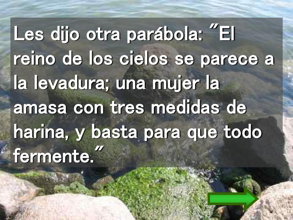 Les dijo otra parábola: El reino de los cielos se parece a la levadura; una mujer la amasa con tres medidas de harina, y basta para que todo fermente.