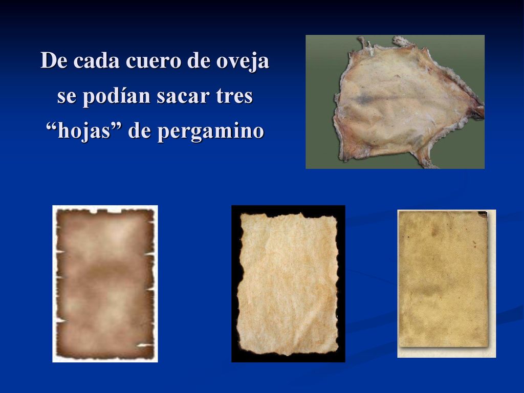 De cada cuero de oveja se podían sacar tres hojas de pergamino