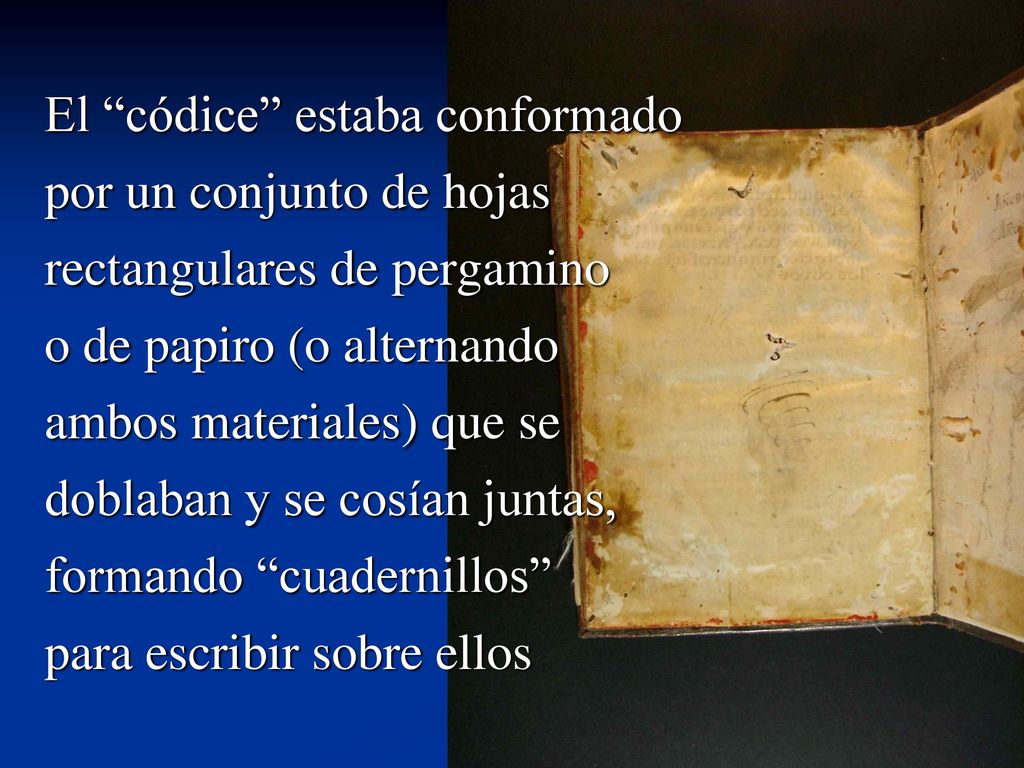 El códice estaba conformado por un conjunto de hojas