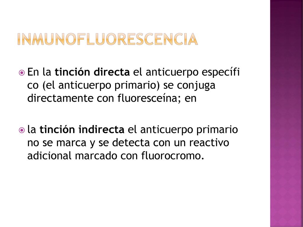 inmunofluorescencia En la tinción directa el anticuerpo específi co (el anticuerpo primario) se conjuga directamente con fluoresceína; en.