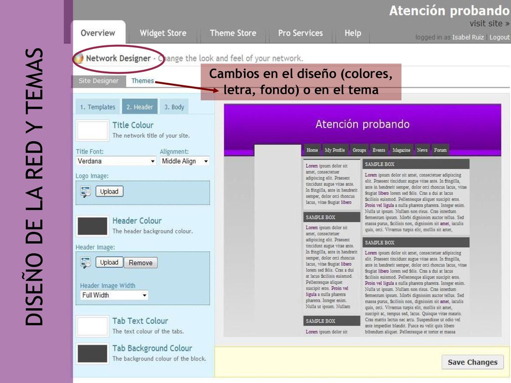 Cambios en el diseño (colores, letra, fondo) o en el tema