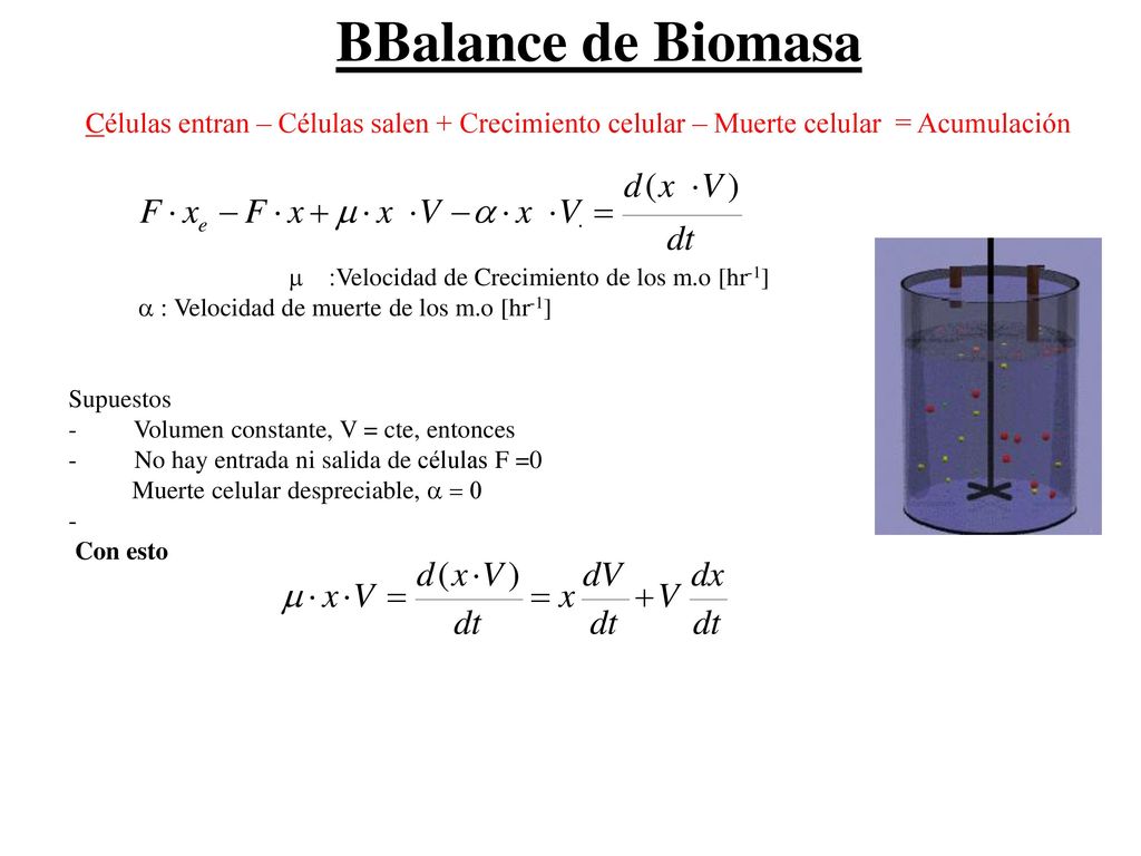 BBalance de Biomasa Células entran – Células salen + Crecimiento celular – Muerte celular = Acumulación