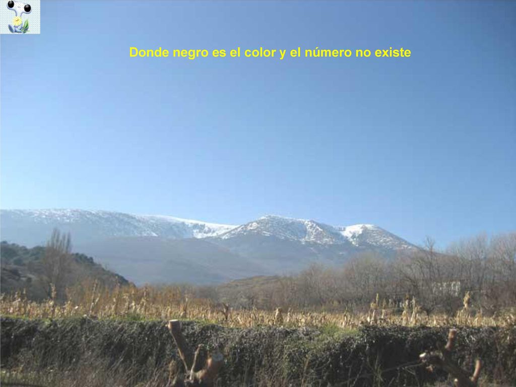Donde negro es el color y el número no existe