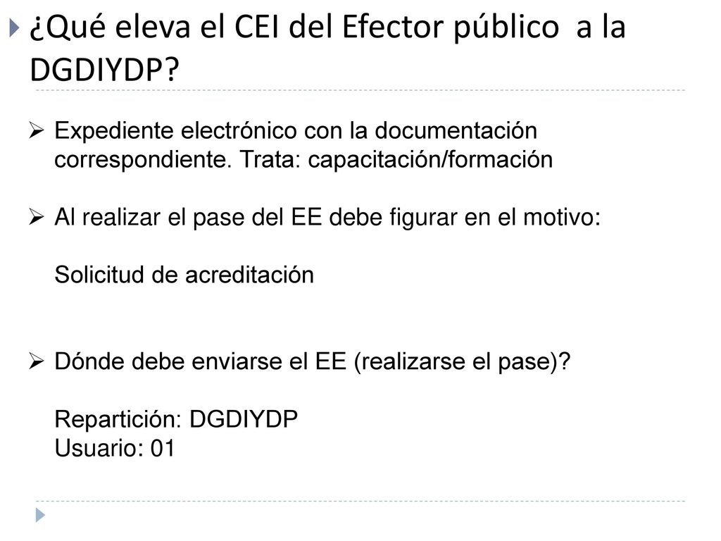 ¿Qué eleva el CEI del Efector público a la DGDIYDP