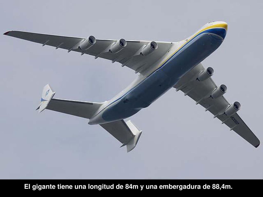 El gigante tiene una longitud de 84m y una embergadura de 88,4m.