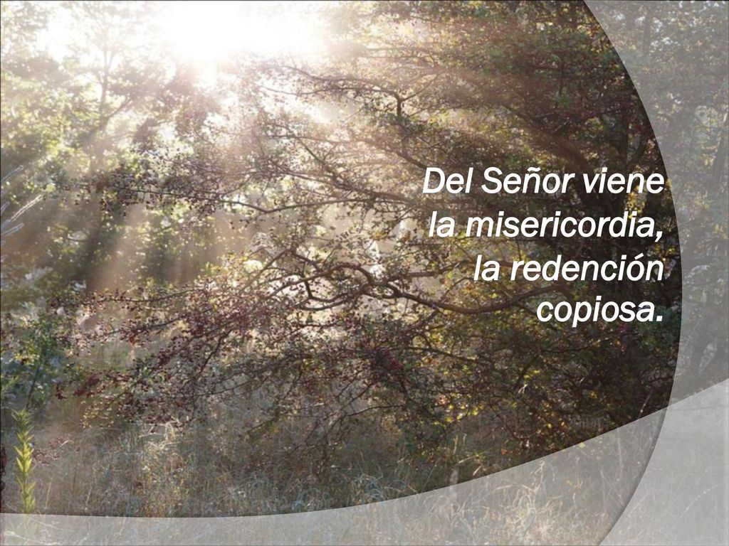 Del Señor viene la misericordia, la redención copiosa.