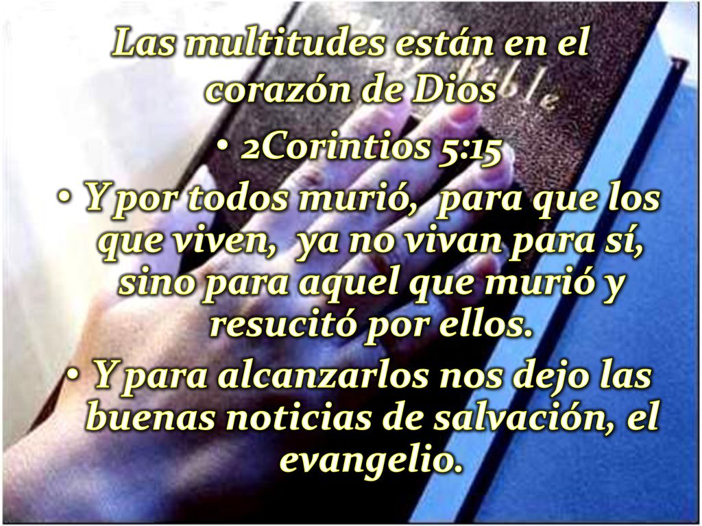 Las multitudes están en el corazón de Dios