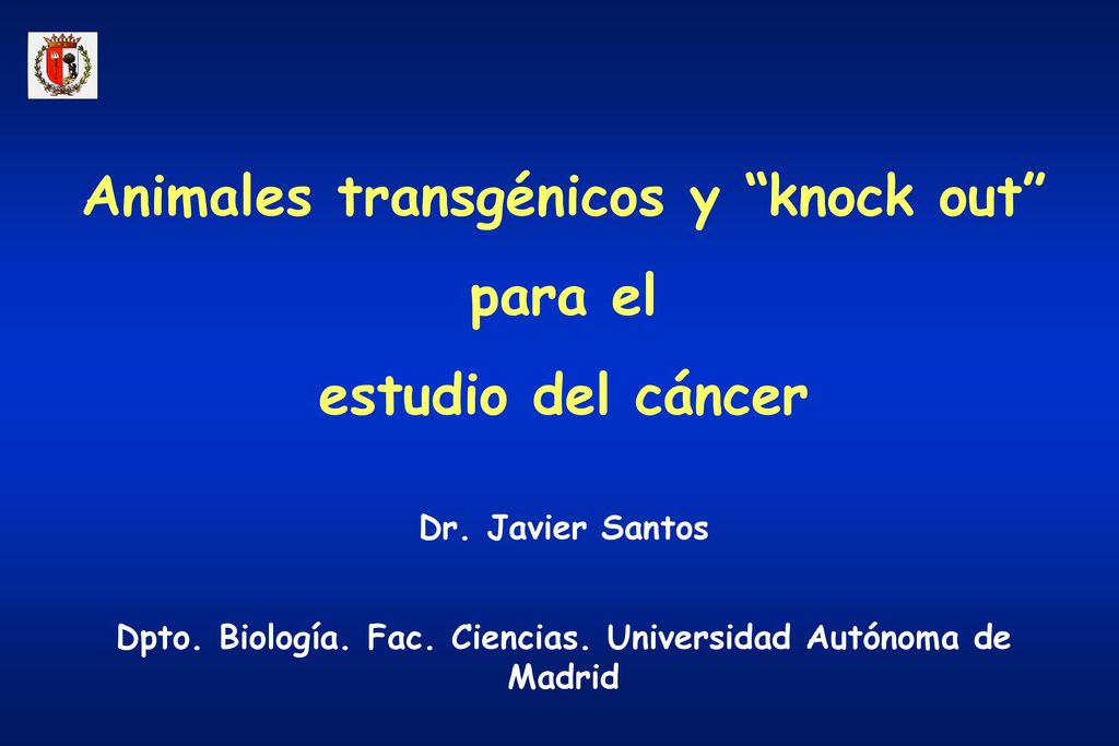 Animales transgénicos y knock out para el estudio del cáncer