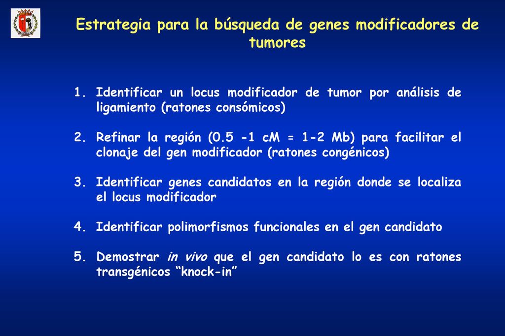 Estrategia para la búsqueda de genes modificadores de tumores