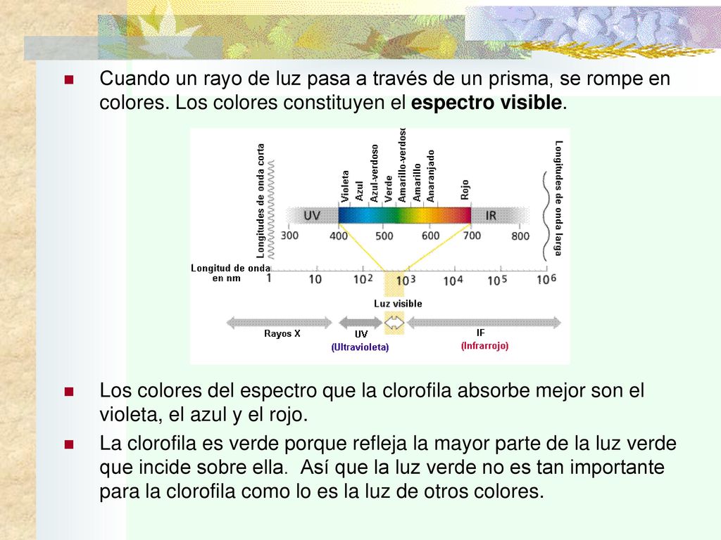 Cuando un rayo de luz pasa a través de un prisma, se rompe en colores