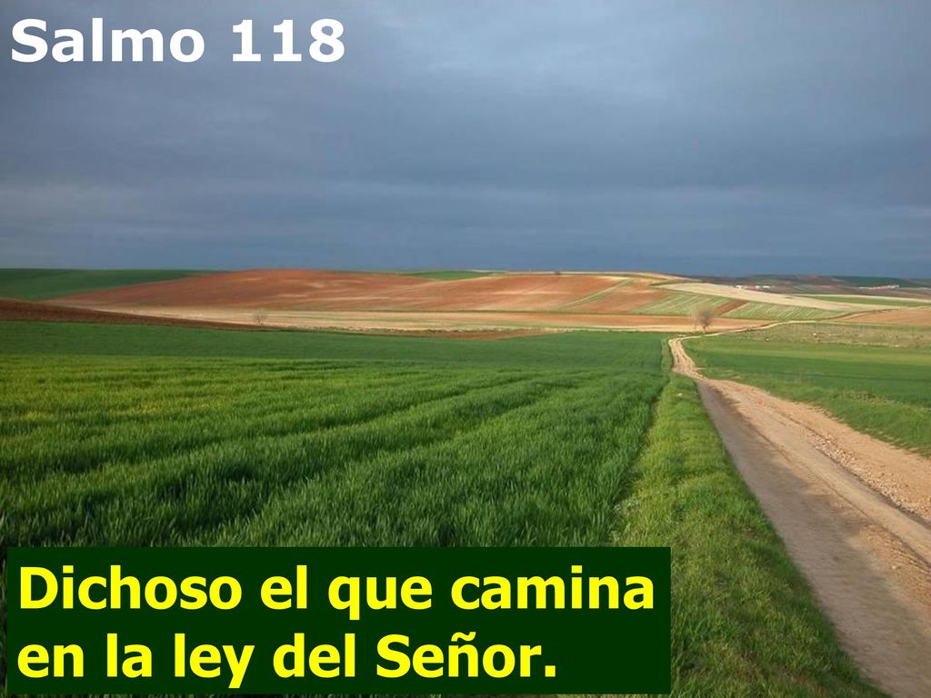 Salmo 118 Dichoso el que camina en la ley del Señor.
