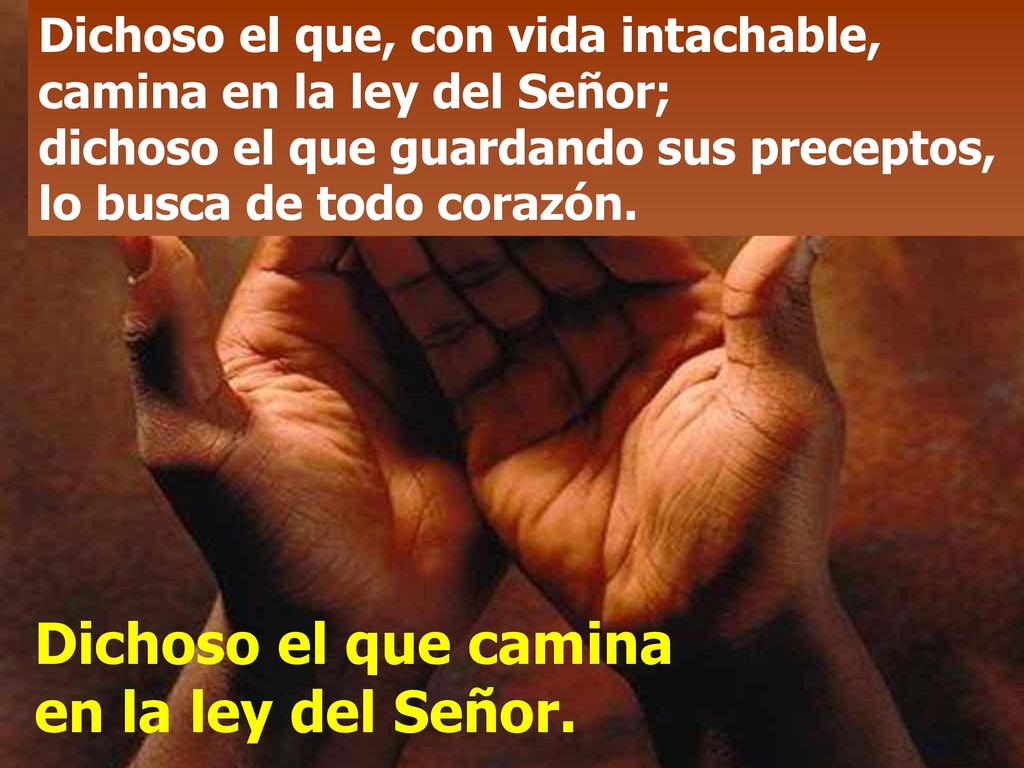 Dichoso el que camina en la ley del Señor.