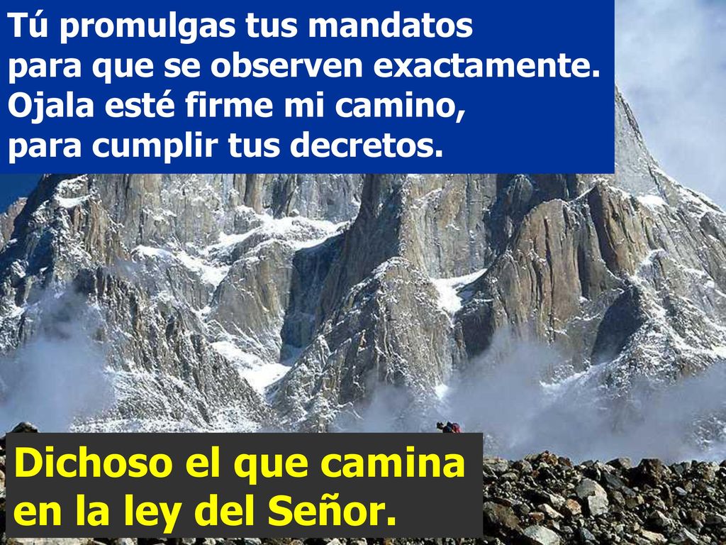 Dichoso el que camina en la ley del Señor.