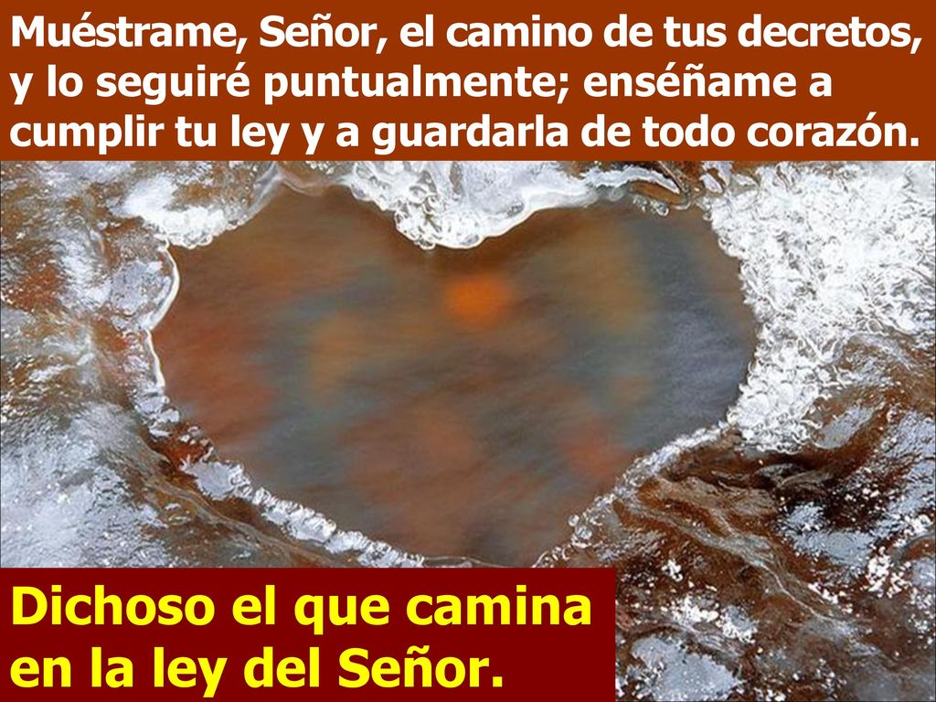 Dichoso el que camina en la ley del Señor.