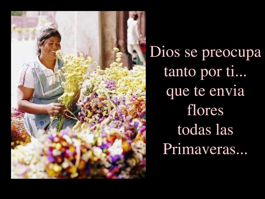 Dios se preocupa tanto por ti... que te envia flores todas las Primaveras...
