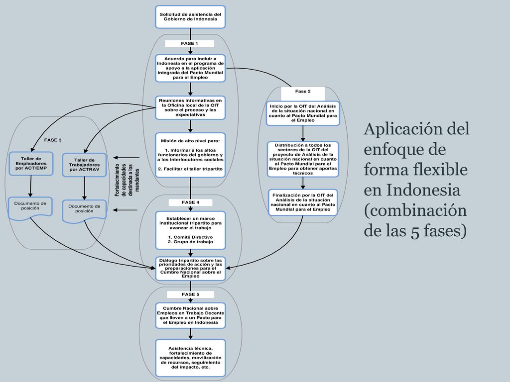 Aplicación del enfoque de forma flexible en Indonesia (combinación de las 5 fases)