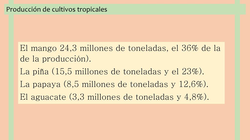 El mango 24,3 millones de toneladas, el 36% de la de la producción).