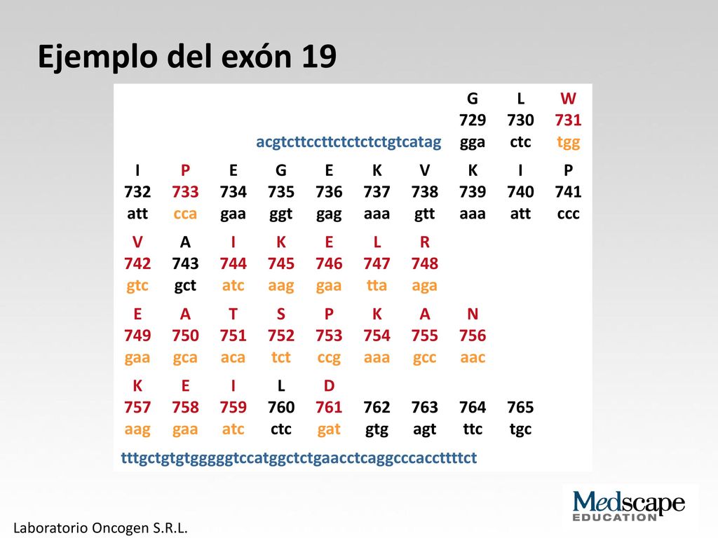 Ejemplo del exón 19 acgtcttccttctctctctgtcatag G 729 gga L 730 ctc