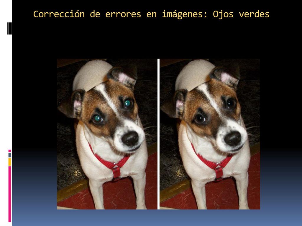 Corrección de errores en imágenes: Ojos verdes