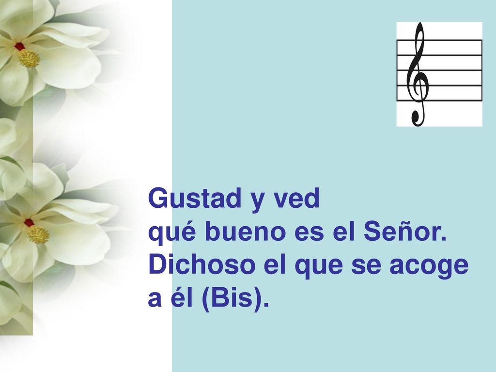 Gustad y ved qué bueno es el Señor. Dichoso el que se acoge a él (Bis).