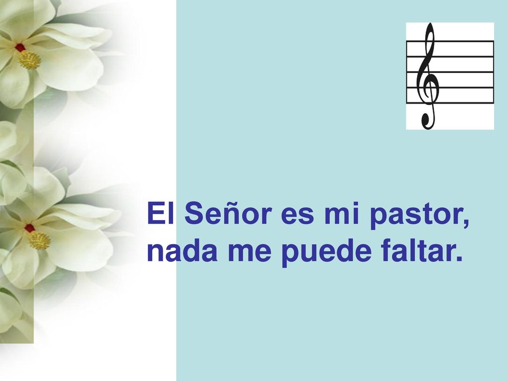 El Señor es mi pastor, nada me puede faltar.