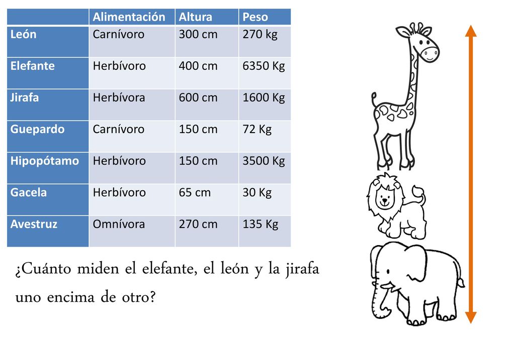 ¿Cuánto miden el elefante, el león y la jirafa uno encima de otro