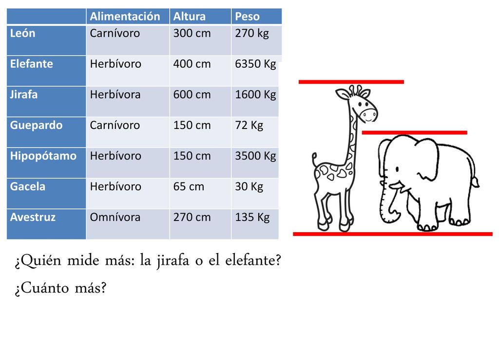 ¿Quién mide más: la jirafa o el elefante ¿Cuánto más