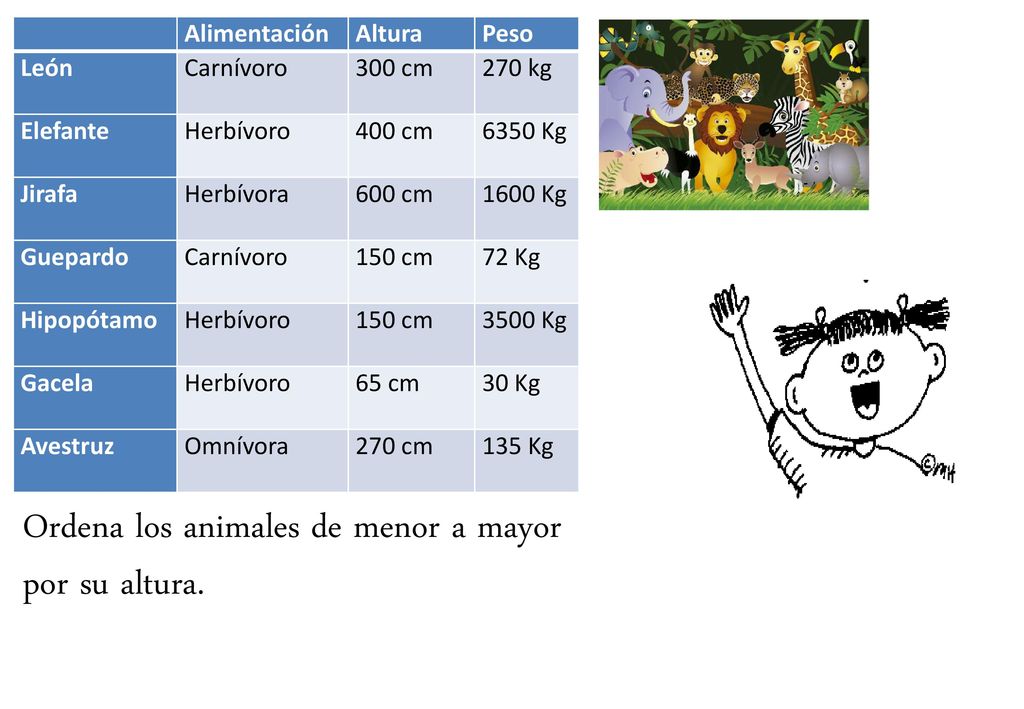 Ordena los animales de menor a mayor por su altura.
