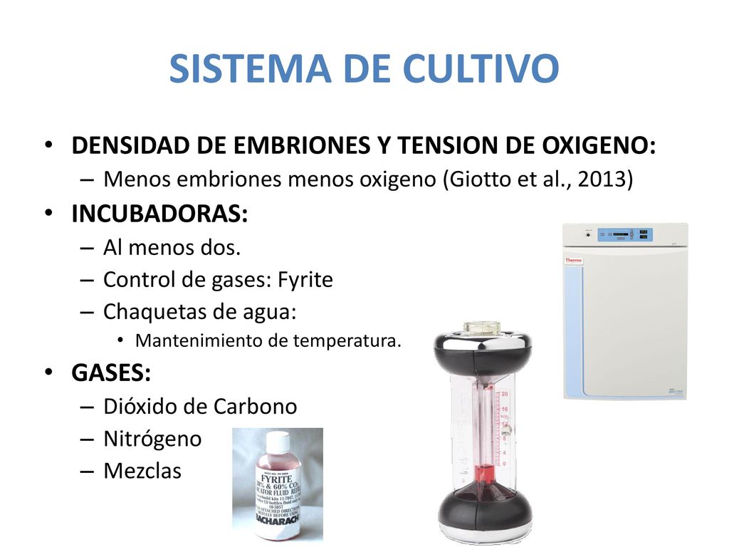 SISTEMA DE CULTIVO DENSIDAD DE EMBRIONES Y TENSION DE OXIGENO: