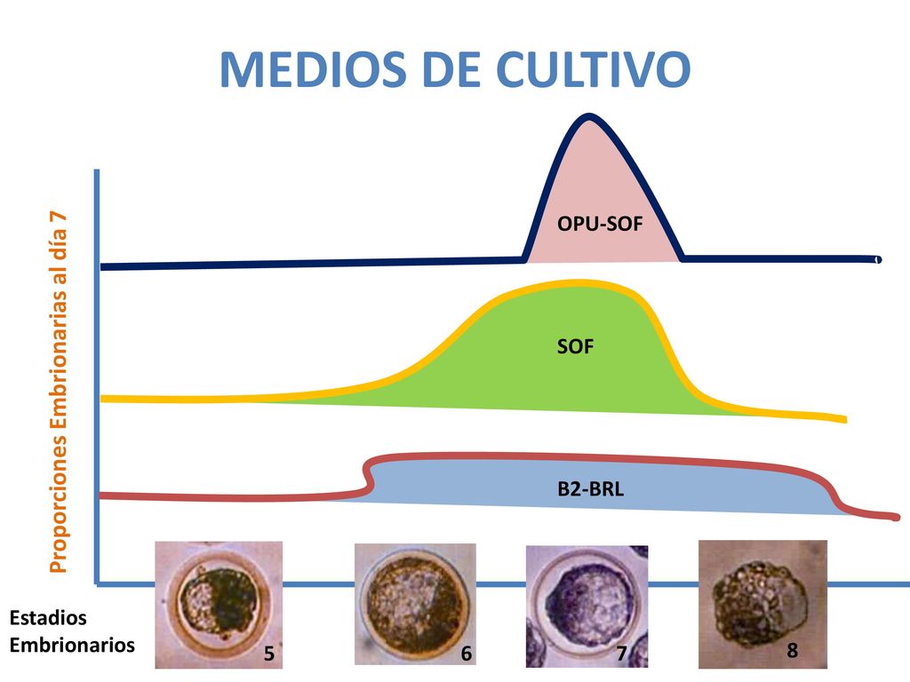 MEDIOS DE CULTIVO Proporciones Embrionarias al día 7 OPU-SOF SOF