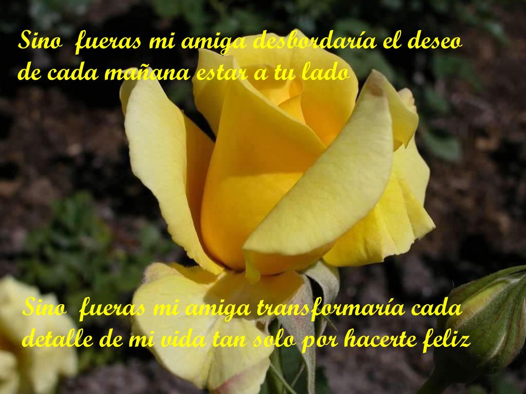 Sino fueras mi amiga desbordaría el deseo de cada mañana estar a tu lado