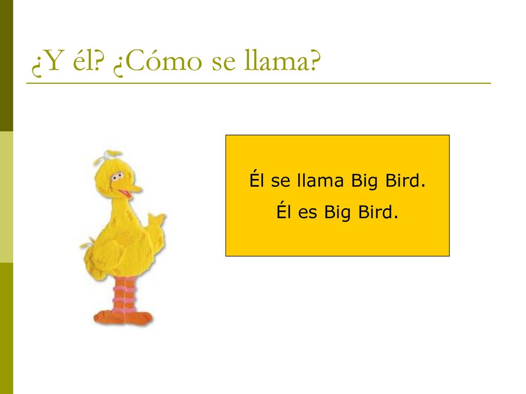 ¿Y él ¿Cómo se llama Él se llama Big Bird. Él es Big Bird.