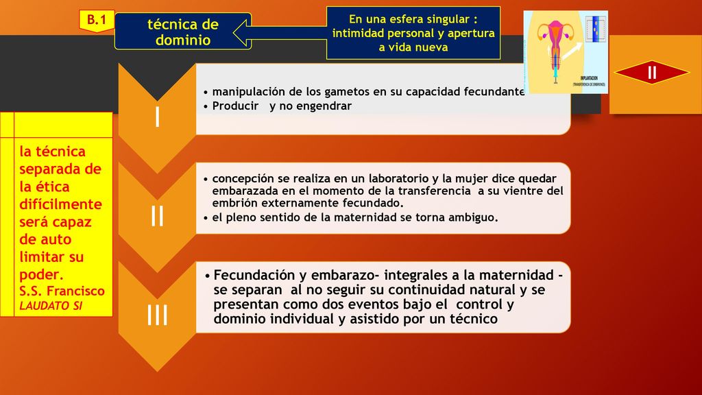 En una esfera singular : intimidad personal y apertura a vida nueva