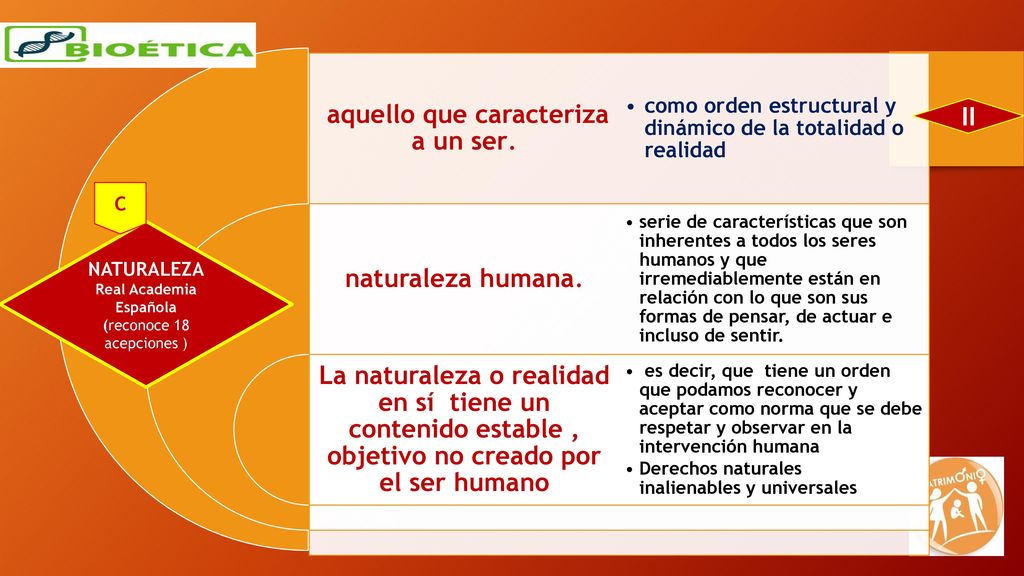 II como orden estructural y dinámico de la totalidad o realidad C