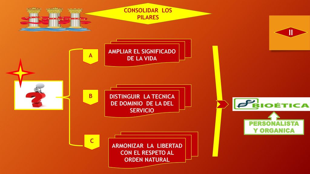 II CONSOLIDAR LOS PILARES AMPLIAR EL SIGNIFICADO DE LA VIDA A